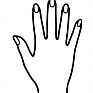 Handsy